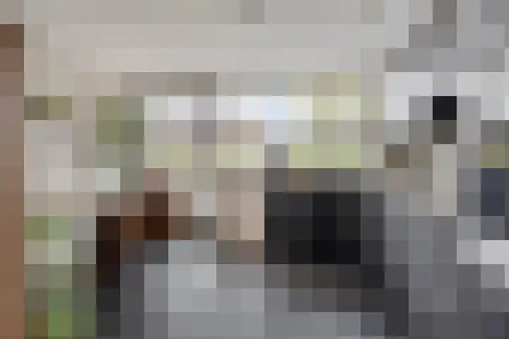 Noordeloosstraat 85 Zoetermeer thumbnail 12