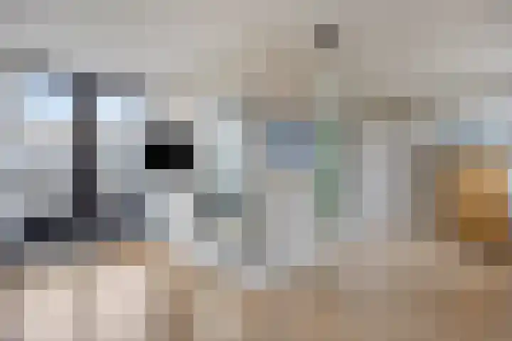 Noordeloosstraat 85 Zoetermeer thumbnail 32