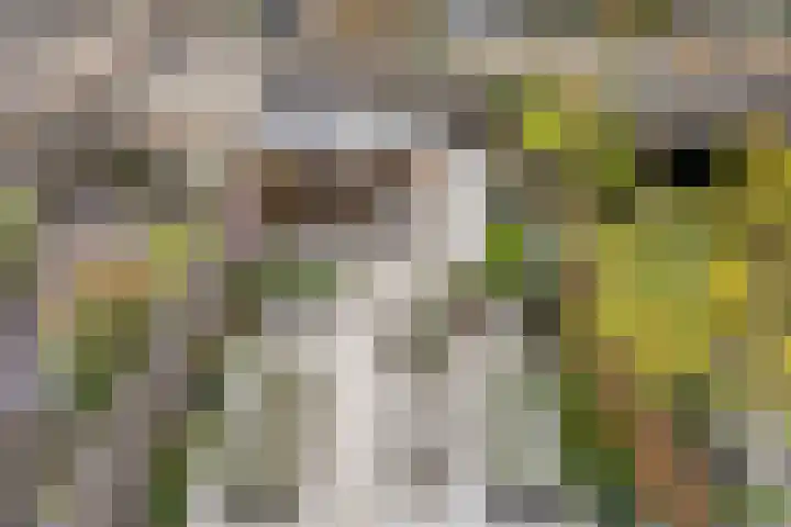 Noordeloosstraat 85 Zoetermeer thumbnail 36