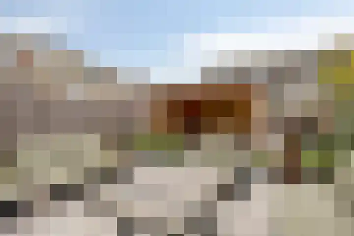 Noordeloosstraat 85 Zoetermeer thumbnail 4