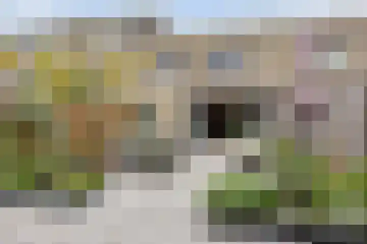 Noordeloosstraat 85 Zoetermeer thumbnail 40