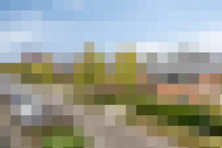 Noordeloosstraat 85 Zoetermeer thumbnail 42