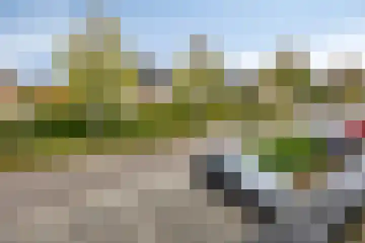 Noordeloosstraat 85 Zoetermeer thumbnail 43