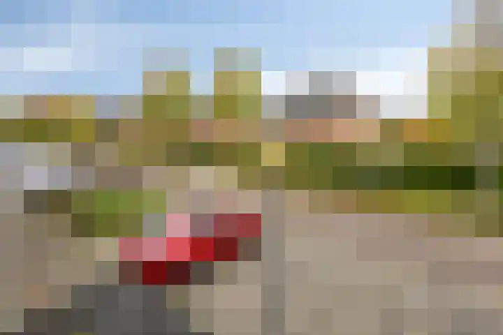 Noordeloosstraat 85 Zoetermeer thumbnail 44