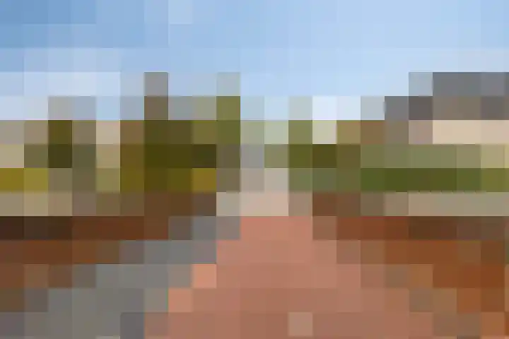 Noordeloosstraat 85 Zoetermeer thumbnail 49