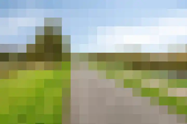 Noordeloosstraat 85 Zoetermeer thumbnail 51