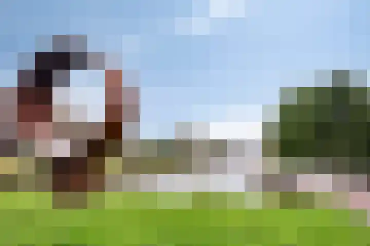 Noordeloosstraat 85 Zoetermeer thumbnail 52