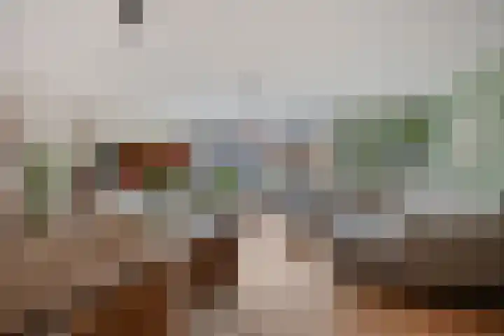 Noordeloosstraat 85 Zoetermeer thumbnail 8