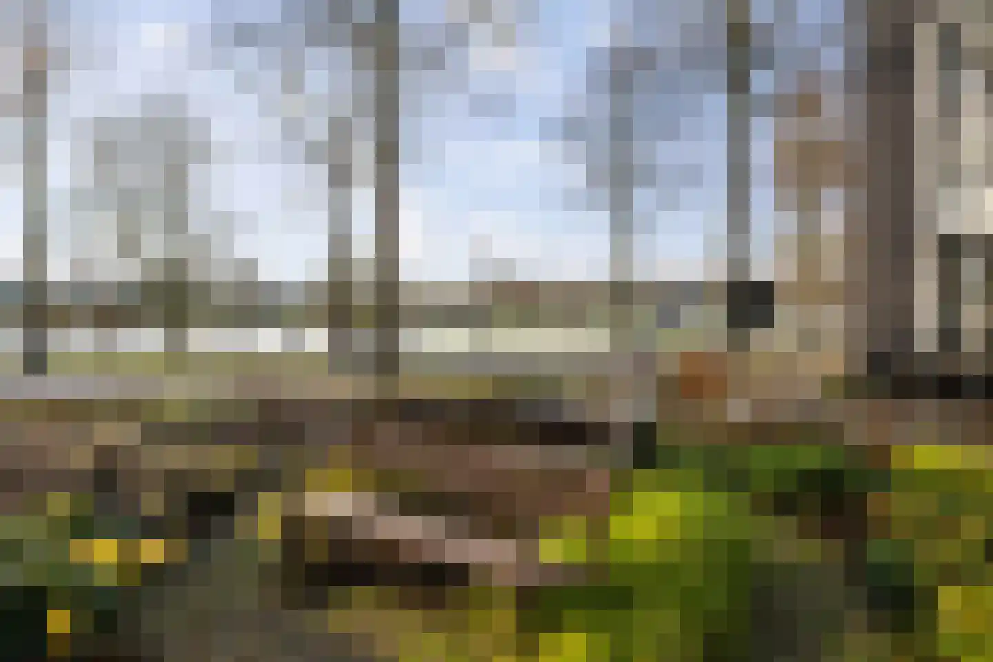 Noordenbergsingel 13 Deventer thumbnail 39