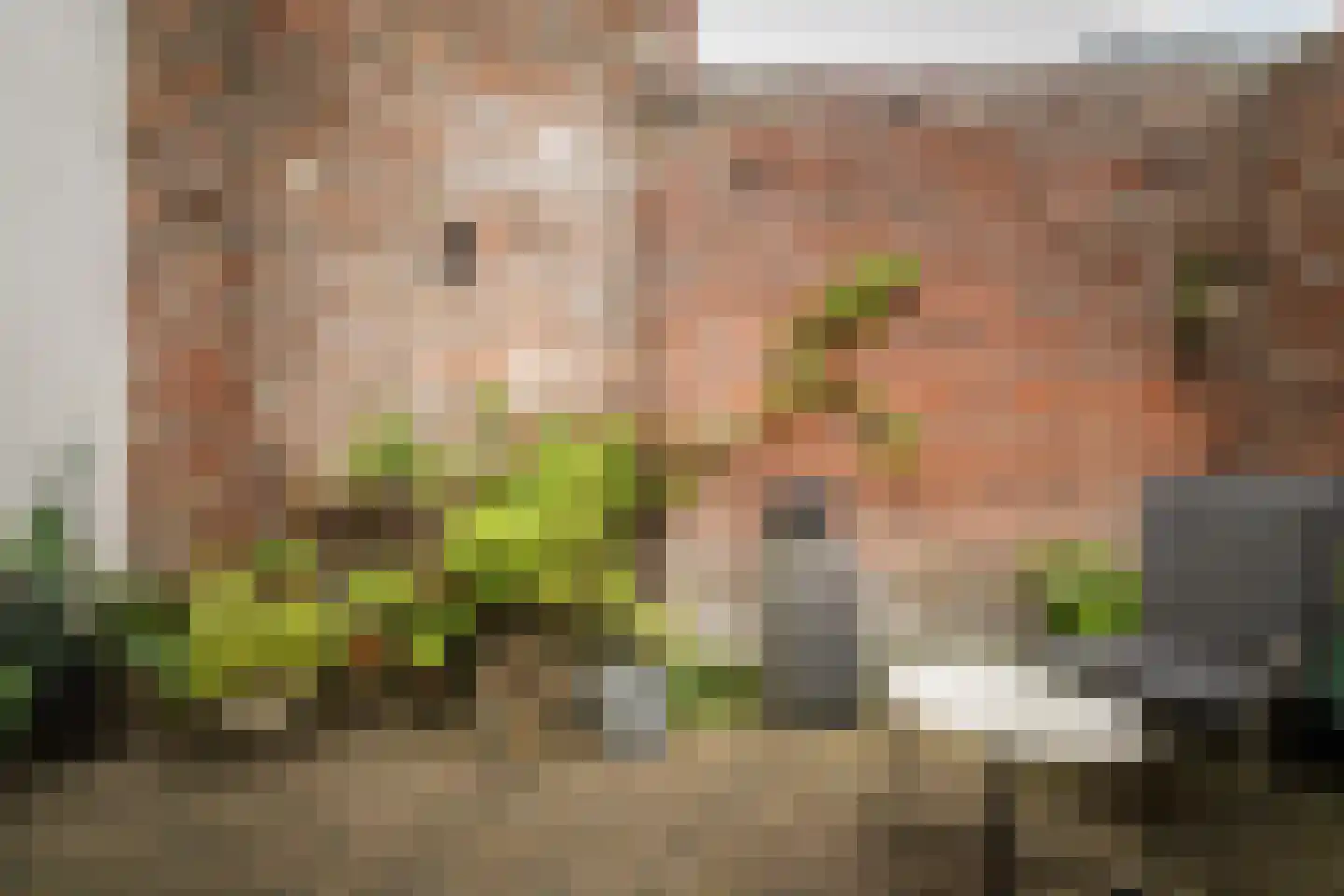 Noordenbergstraat 11 Deventer thumbnail 20