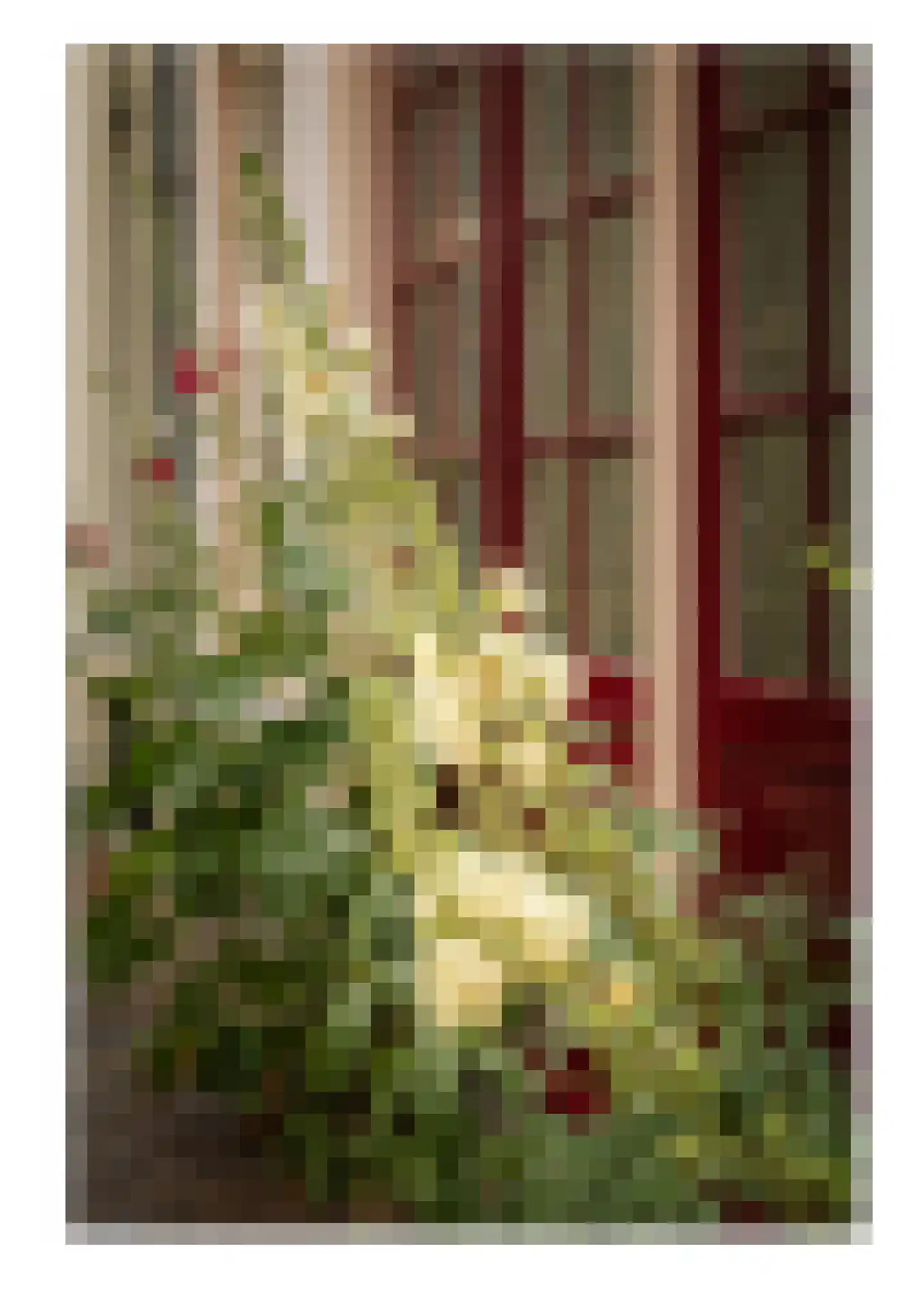 Noordenbergstraat 11 Deventer thumbnail 22
