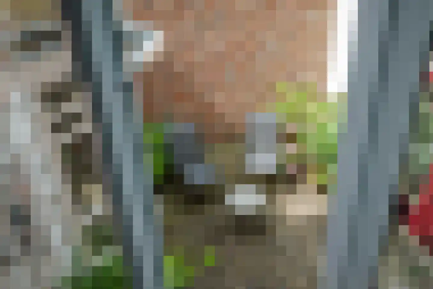 Noordenbergstraat 11 Deventer thumbnail 38