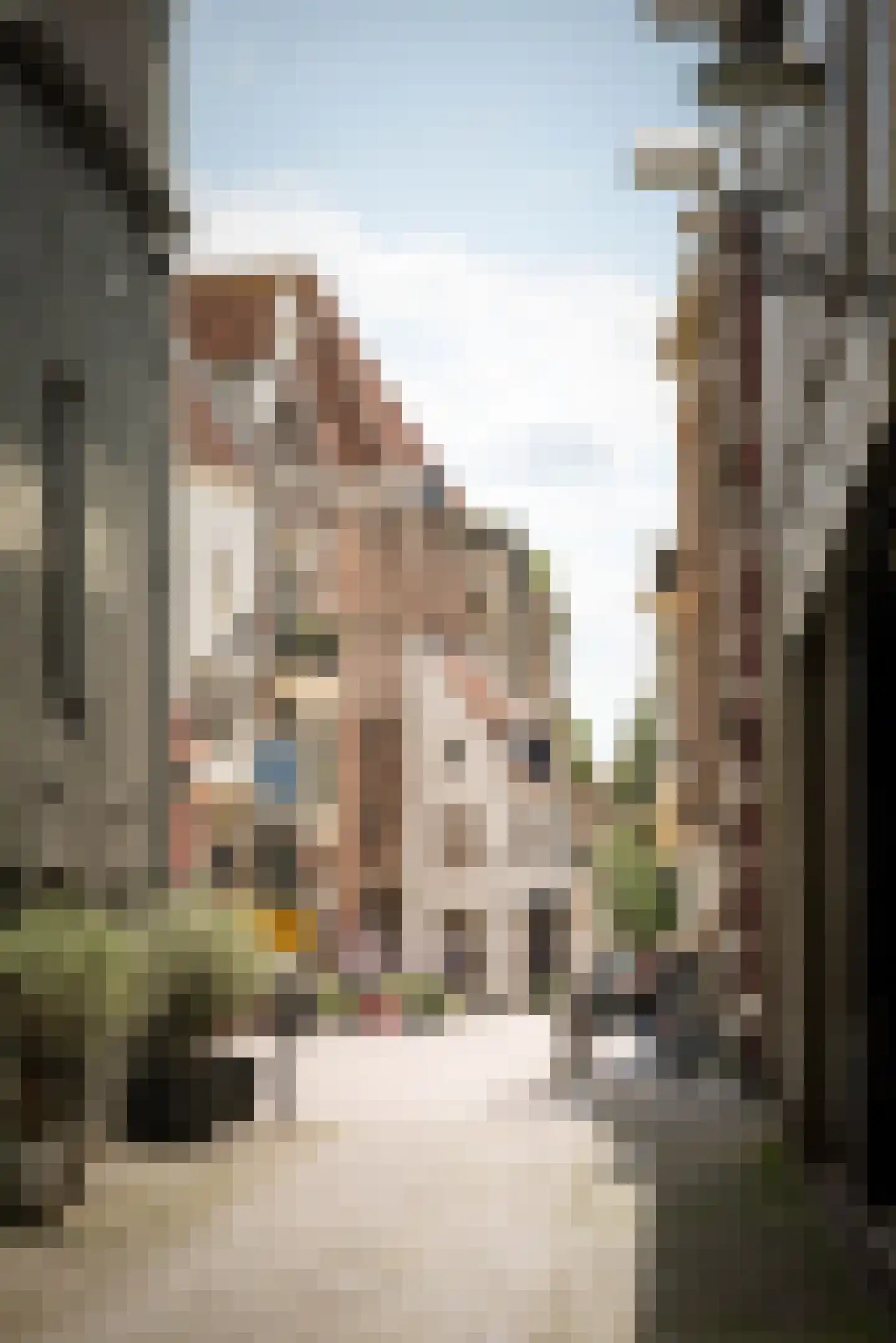 Noordenbergstraat 11 Deventer thumbnail 4