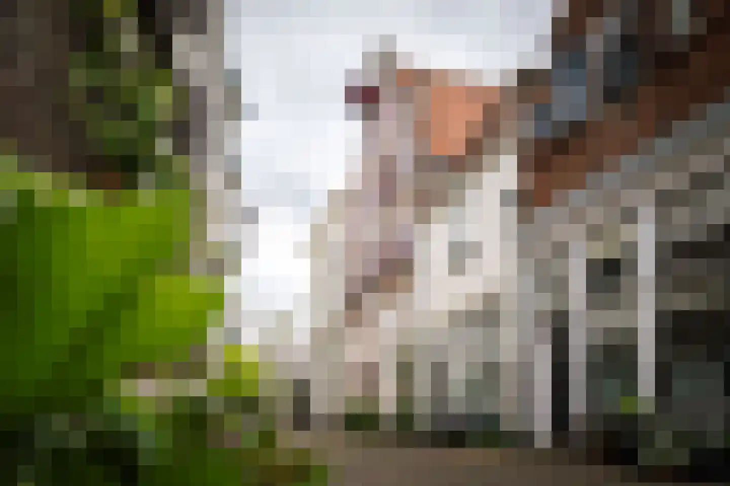 Noordenbergstraat 11 Deventer thumbnail 5