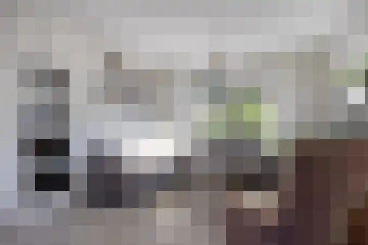 Noordenbos 27 Geertruidenberg thumbnail 11