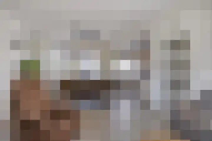 Noordenbos 27 Geertruidenberg thumbnail 12