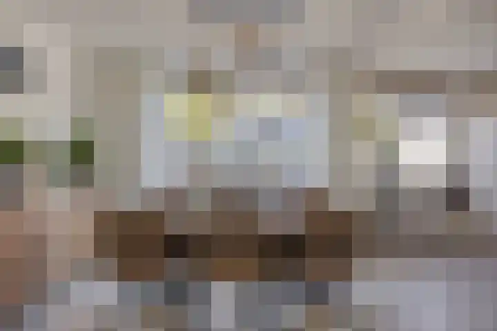 Noordenbos 27 Geertruidenberg thumbnail 13