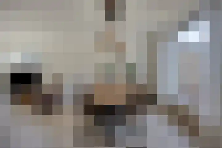 Noordenbos 27 Geertruidenberg thumbnail 14