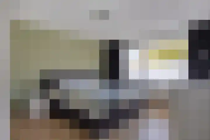 Noordenbos 27 Geertruidenberg thumbnail 18