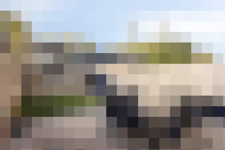 Noordenbos 27 Geertruidenberg thumbnail 30