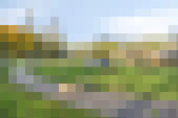 Noordenbos 27 Geertruidenberg thumbnail 39