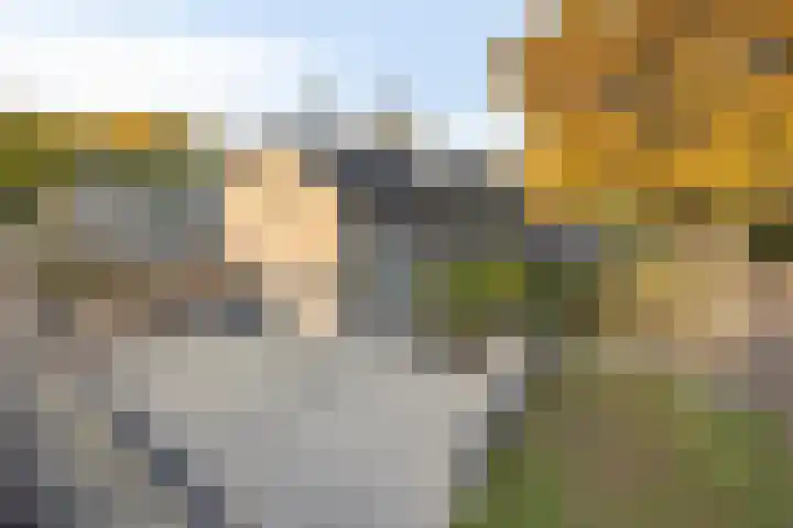 Noordenbos 27 Geertruidenberg thumbnail 4