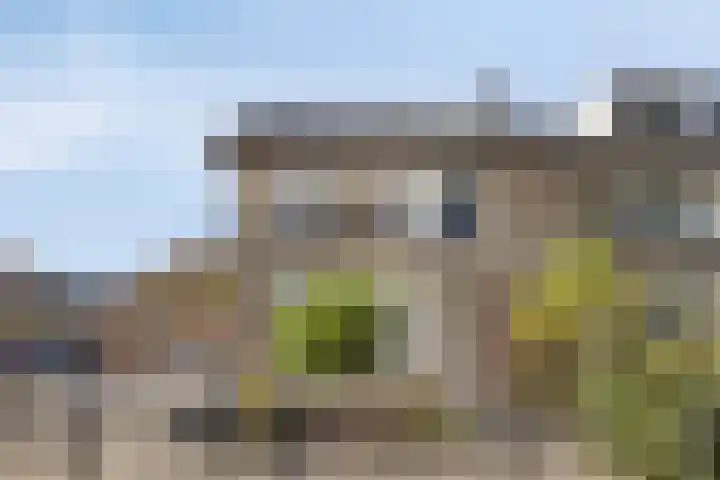 Noordenbos 27 Geertruidenberg thumbnail 5