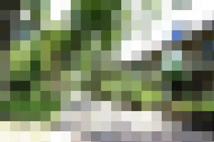 Noordenbos 31 Geertruidenberg thumbnail 38