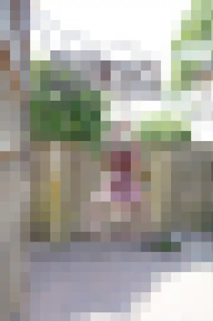 Noordenbos 31 Geertruidenberg thumbnail 4