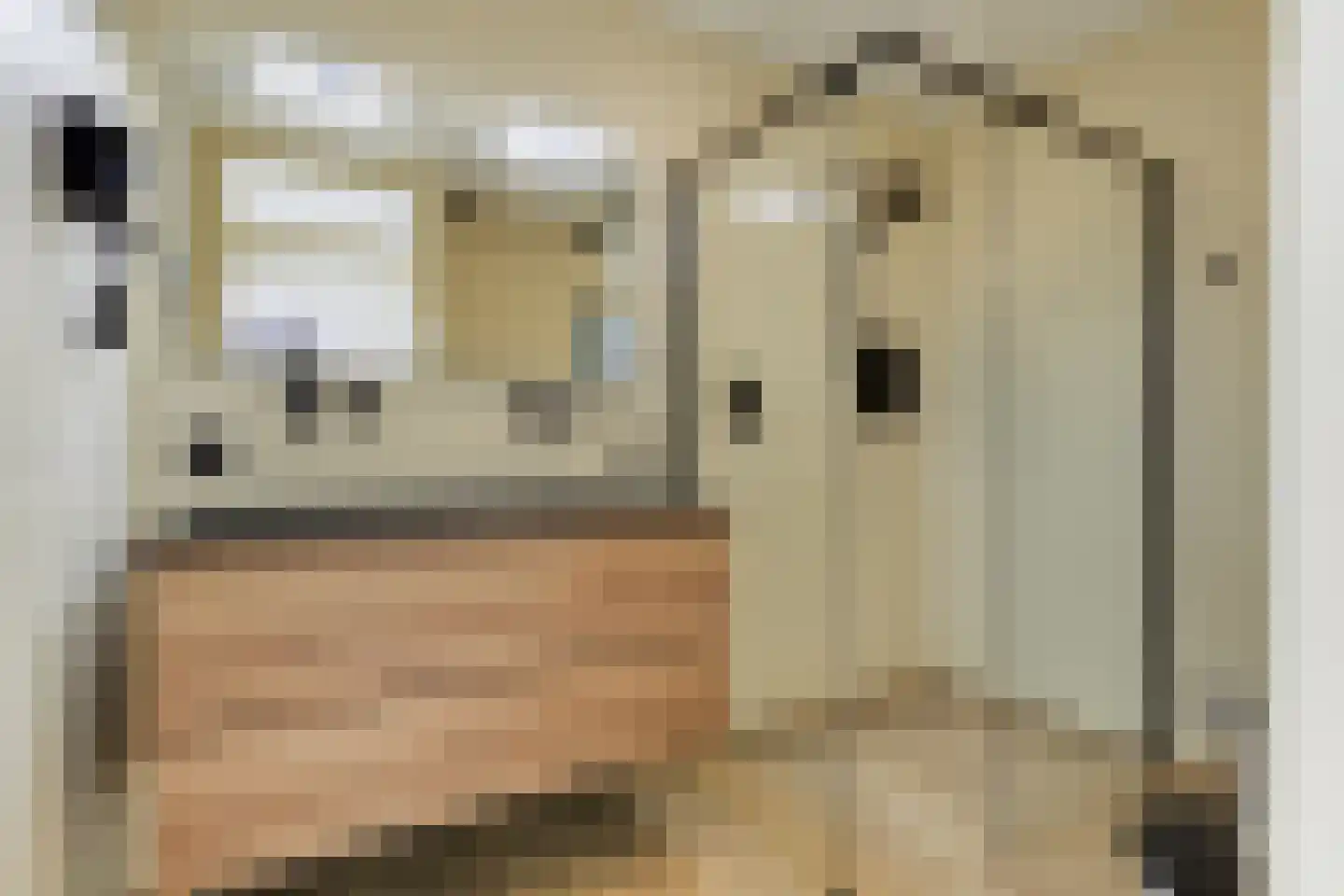 Noordenburglaan 22 Voorburg thumbnail 12
