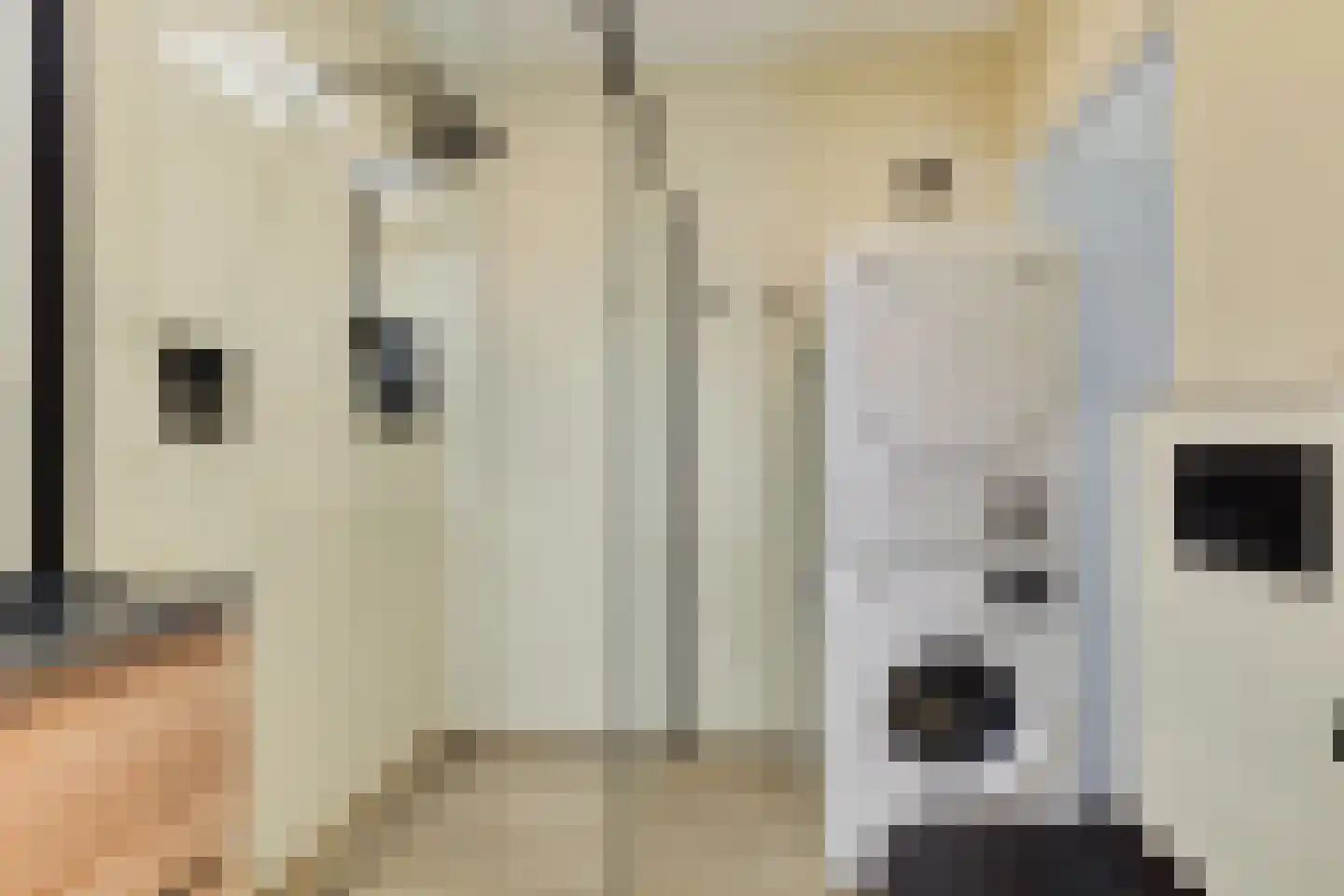 Noordenburglaan 22 Voorburg thumbnail 13