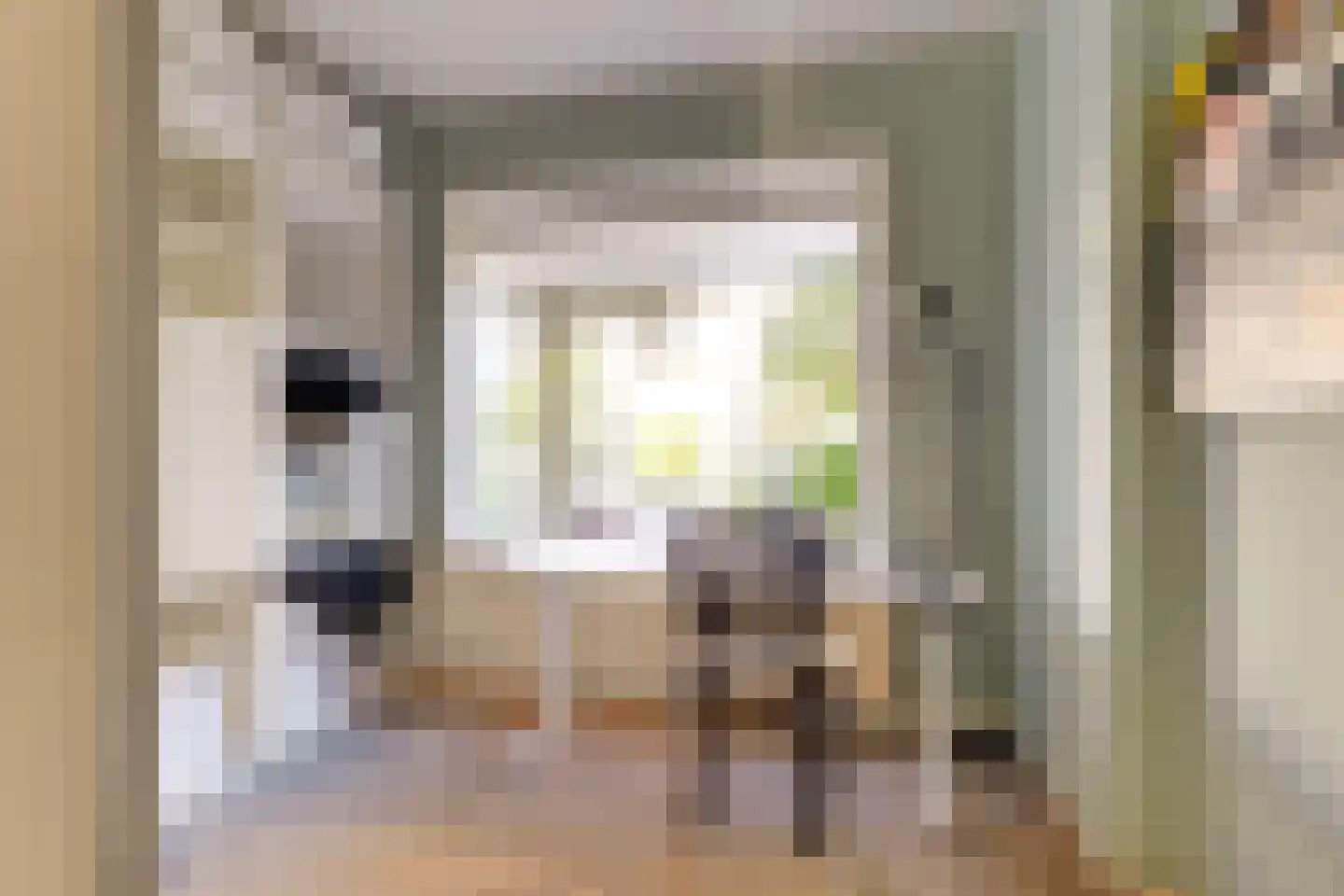 Noordenburglaan 22 Voorburg thumbnail 15
