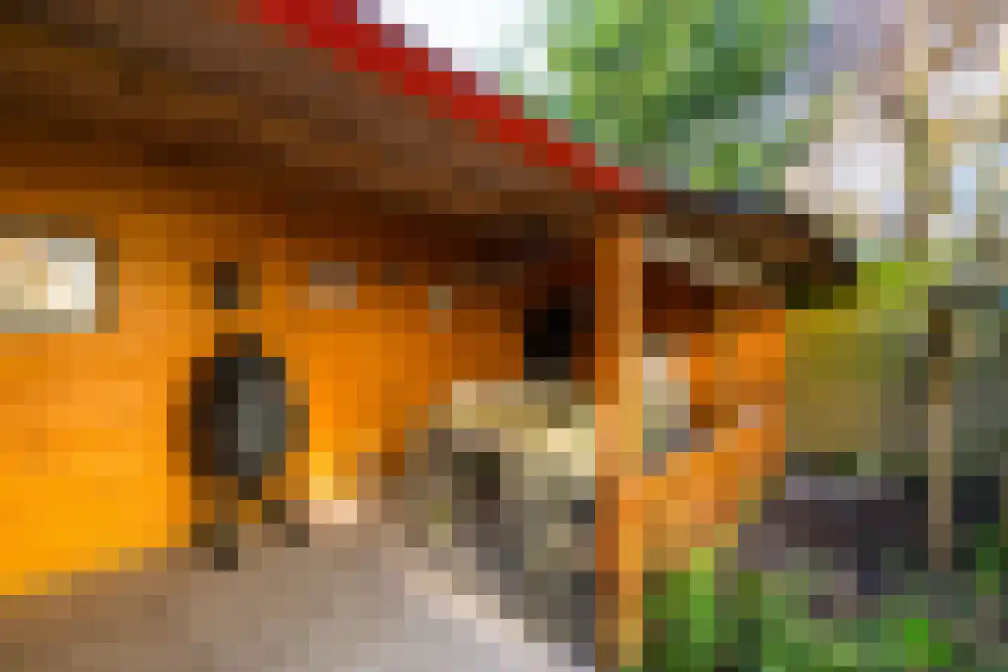 Noordenburglaan 22 Voorburg thumbnail 18