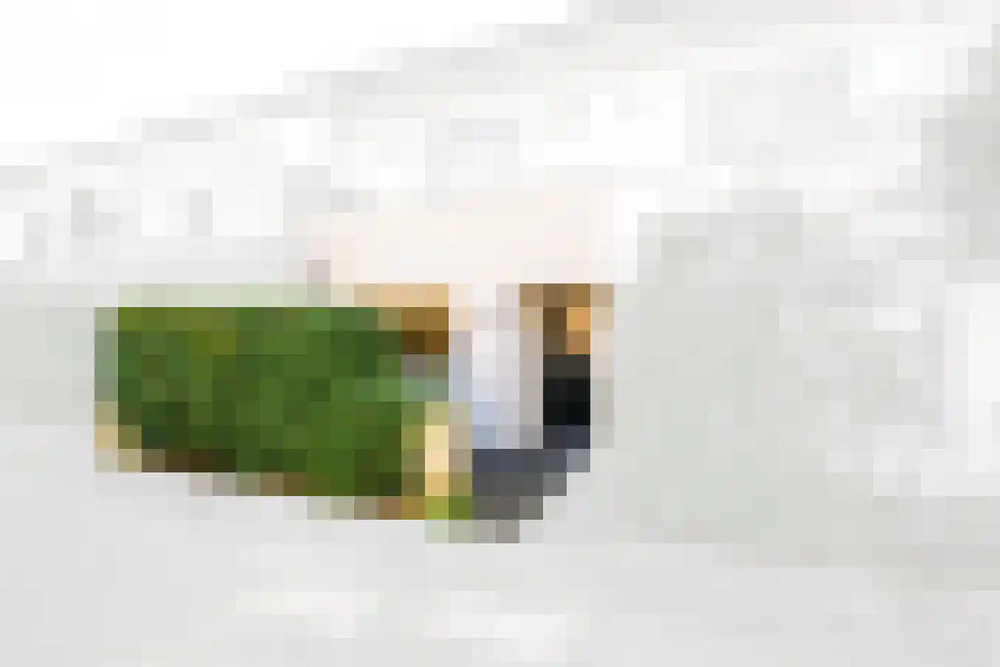 Noordenburglaan 22 Voorburg thumbnail 5
