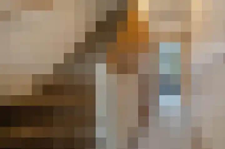 Noordenburglaan 31 Voorburg thumbnail 12