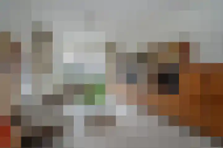 Noordenburglaan 31 Voorburg thumbnail 14