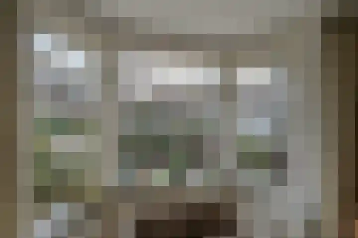 Noordenburglaan 31 Voorburg thumbnail 15