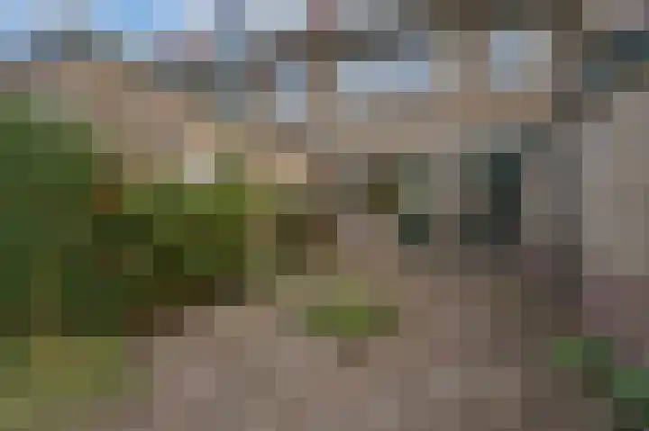 Noordenburglaan 31 Voorburg thumbnail 22