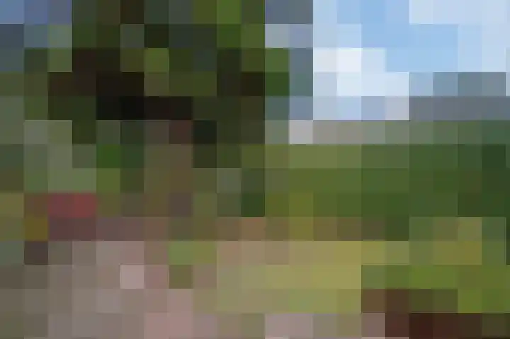 Noordenburglaan 31 Voorburg thumbnail 25