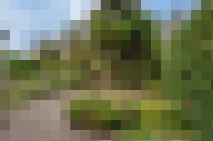 Noordenburglaan 31 Voorburg thumbnail 26