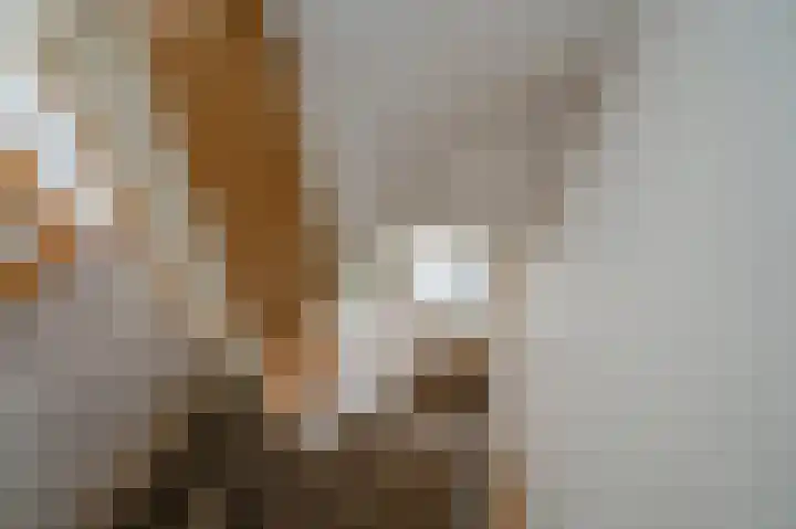 Noordenburglaan 31 Voorburg thumbnail 30