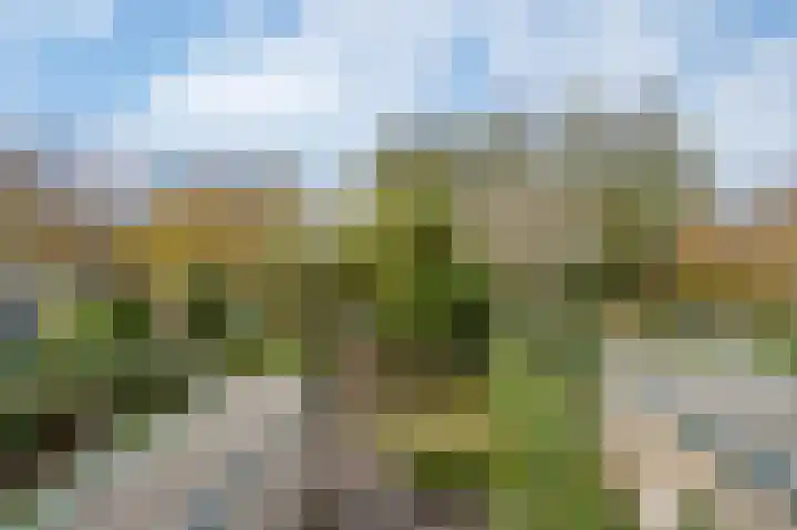 Noordenburglaan 31 Voorburg thumbnail 33