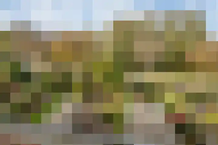 Noordenburglaan 31 Voorburg thumbnail 47