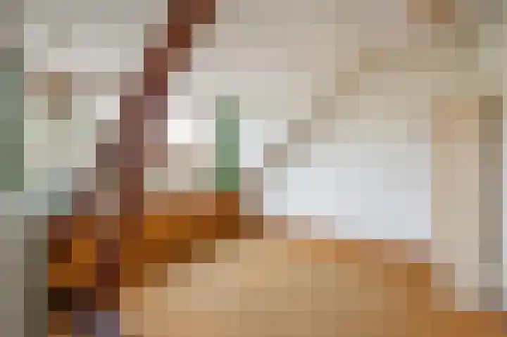 Noordenburglaan 31 Voorburg thumbnail 49