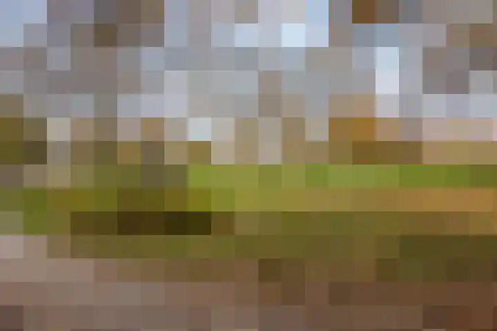 Noordenburglaan 31 Voorburg thumbnail 55