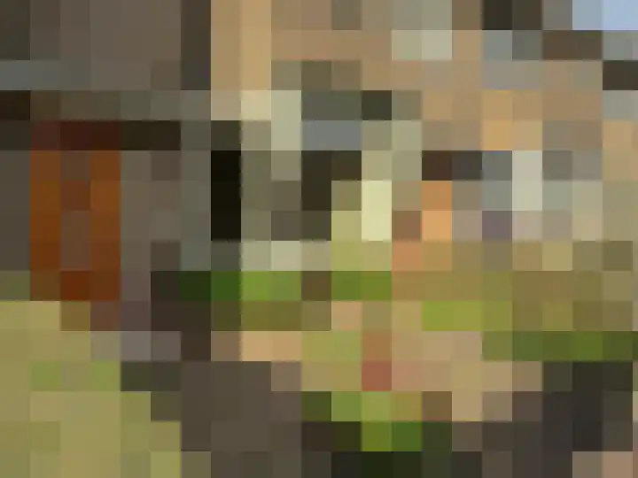 Noordenburglaan 31 Voorburg thumbnail 9