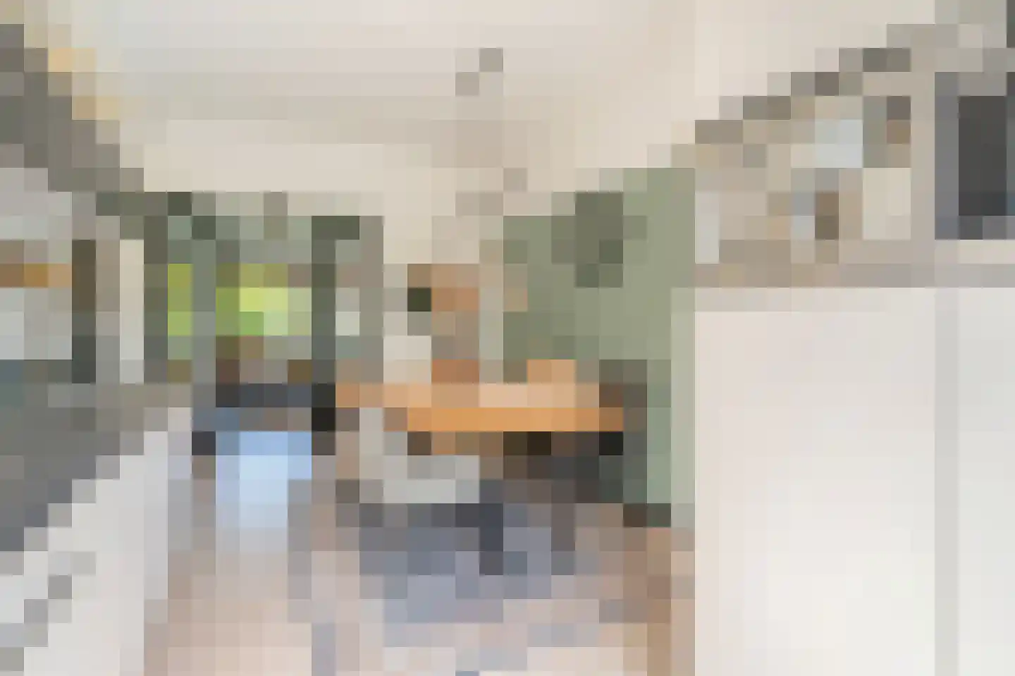 Noordenburglaan 38 Voorburg thumbnail 16