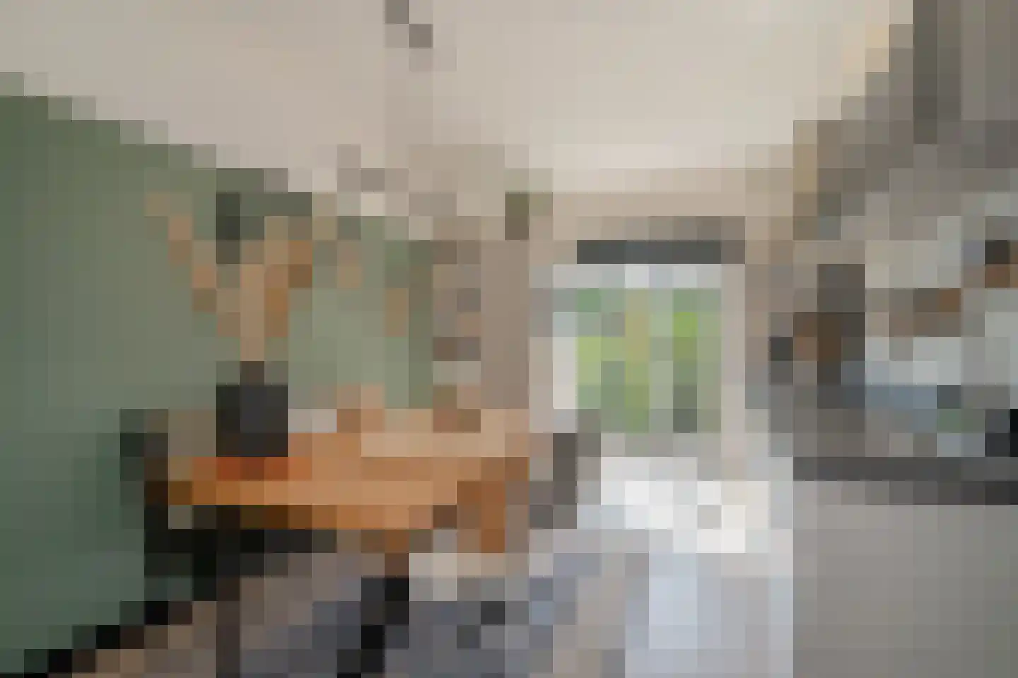 Noordenburglaan 38 Voorburg thumbnail 17