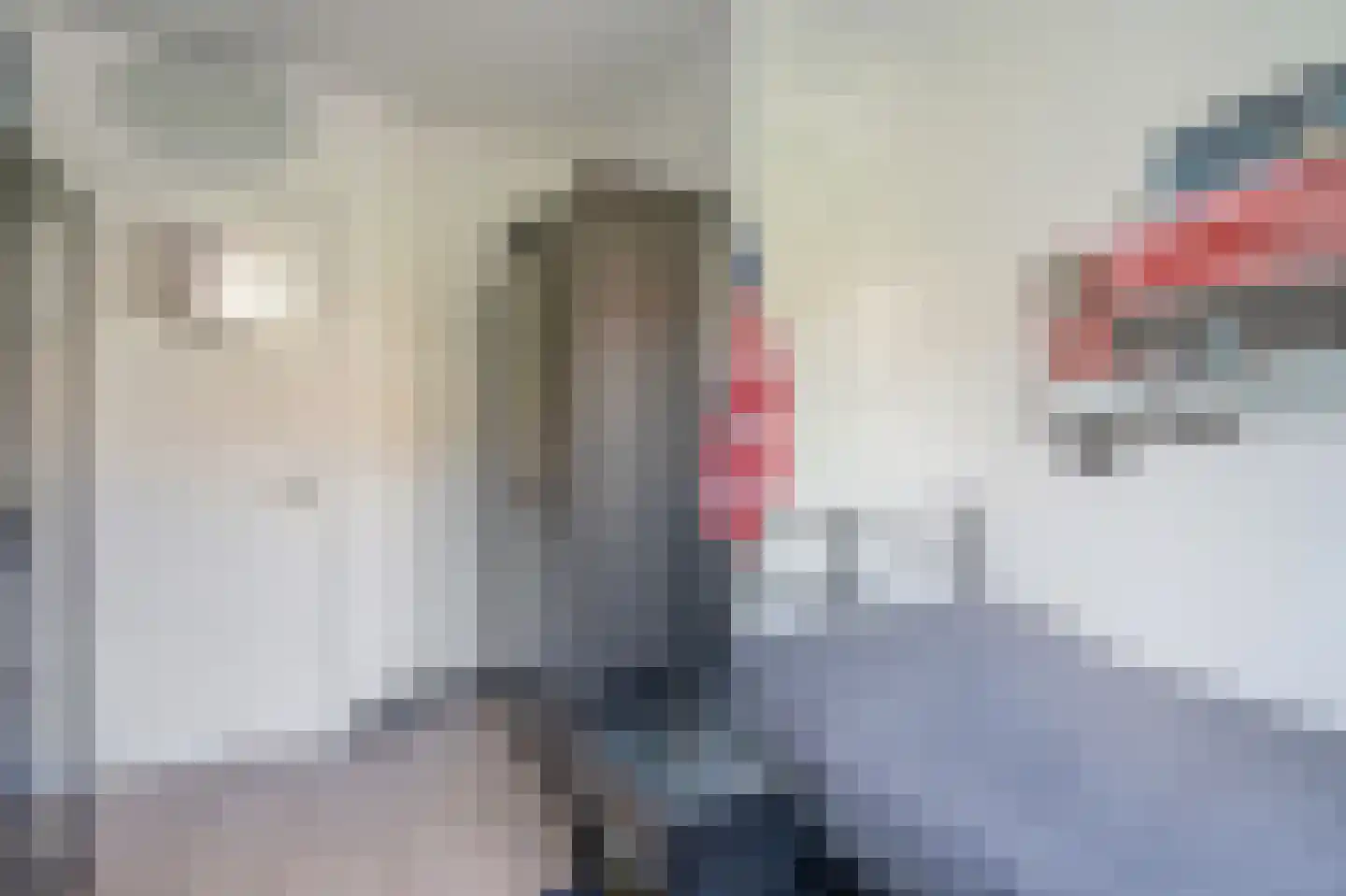 Noordenburglaan 38 Voorburg thumbnail 22