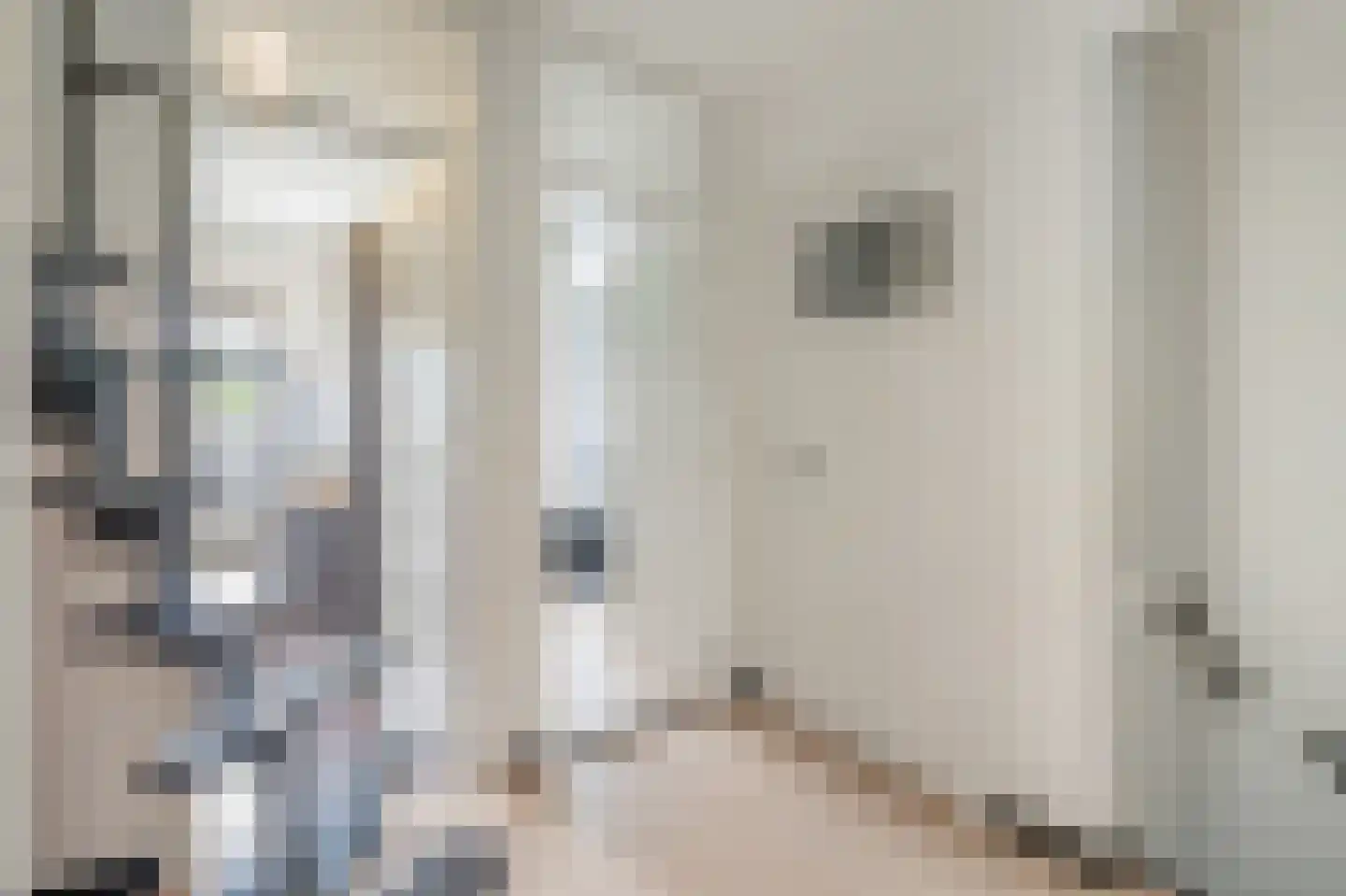 Noordenburglaan 38 Voorburg thumbnail 28